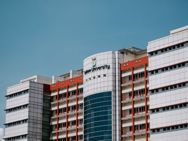 Governance & Institutional Reform